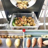 Machine à laver à éplucher le gingembre haute efficacité Racine Légumes Fruits Gingembre Machine de nettoyage de pommes de terre