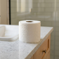 Rouleaux de papier toilette écologiques, résistants et doux, multi-couches, gaufrage personnalisé, fabricant en gros, Chine