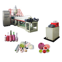 HeXing entièrement automatique PE EPE Fruit mousse filet faisant la machine d'extrusion