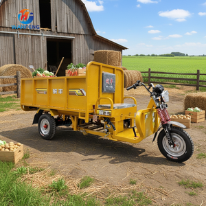Tricycle électrique écologique pour adultes, véhicule électrique à trois roues avec une longue autonomie - Product Image 2