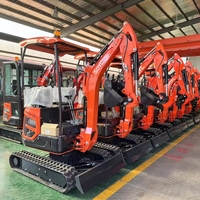 Mini-Pelle 1,8 Tonnes Fournisseur Chenillée EPA Euro5 Moteur Kubota Pelleteuse Service Après-Vente Gratuit Prix Machine Mini-Pelle Agricole