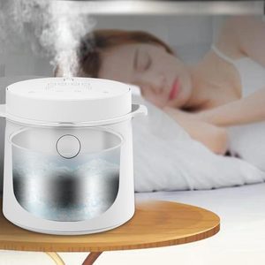 Large Size 2 In 1 Humidifier And Air Humidificateur D'Air Nebulizer Diffuser Flame Heating Humidifier 6L