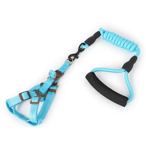 Nuova Linea di Collari e Guinzagli per Cani in Poliestere Personalizzati all'Ingrosso - Product Image 5