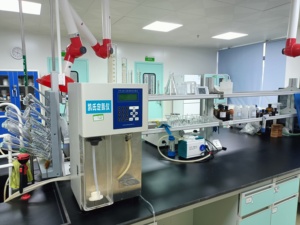 Capsules Nootropiques Intelligentes OEM : Formule Personnalisée pour l'Amélioration Cérébrale, Idéales pour les Compléments en Marque Blanche, Vente en Gros, Délai de Livraison Rapide - Product Image 4