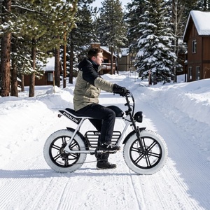 Weißes Fatbike E-Bike mit Scheibenbremsen, Resort-Ebike für Skiresort-Transport - Product Image 4