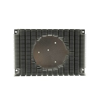 Dissipateur thermique en aluminium pour carte graphique, graphismes noirs anodisés personnalisés, radiateur pour ordinateur