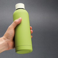 Bouteille isotherme sous vide à double paroi en acier inoxydable écologique avec bouchon, best-seller pour les voyages et la promotion