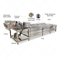 Luchtbel Bladgroenten Automatische Wasmachine Groente-en Schone Productie Lijn Plantaardige Wasmachine Industrie