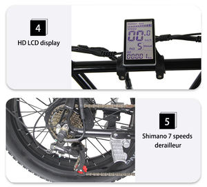 Vélo électrique <span class=keywords><strong>cargo</strong></span> à double <span class=keywords><strong>moteur</strong></span> 2000w, vente en gros - Product Image 4