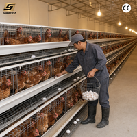 Cages d'élevage pour poules pondeuses résistantes à la corrosion – Équipement avicole pour l'élevage de poules pondeuses