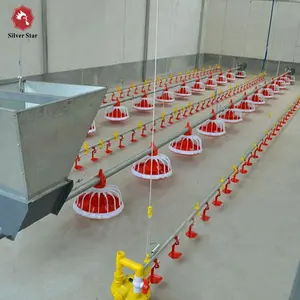 Automatic poultry feeding equipments chicken broiler floor/ground system