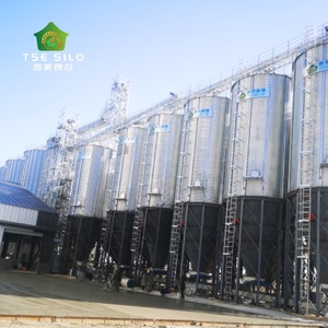 Silo de stockage de céréales (blé, paddy, graines de tournesol) pour projet clé en main - Product Image 2