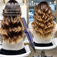 Vente chaude 2-en-1 Airstyler Titanium Wet & Dry Airflow Blower Dryer & Straightener avec 1 an de garantie