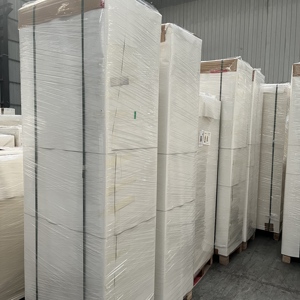 Papel Recubierto de PE de 150 g/m² a 350 g/m², Materia Prima para Vasos de Papel - Product Image 6