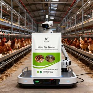 1000g gia cầm sản xuất trứng Enhancer trong túi-Thức ăn gia súc phụ gia Phi đại lý & nhà phân phối muốn - Product Image 2