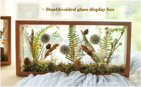 Boîte de rangement en bois à Double face en plexiglas haute définition, boîte de présentation artisanale pour fleurs séchées