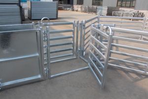 Ganado equipos ovejas patio ovejas aplastar - Product Image 3