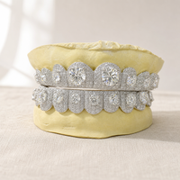Ensemble de Grillz personnalisés sertis de pierres, style Hip Hop Rapper, bijoux dentaires Halo Stone pour hommes et femmes, pour fêtes et scènes, couleur argent