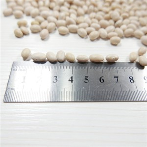 Số lượng lớn các loại khác nhau hải quân đậu trắng đậu trong trung quốc trắng thận đậu - Product Image 4