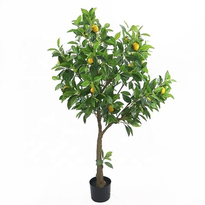 Limonero de plástico para decoración de interiores <span class=keywords><strong>con</strong></span> maceta de plástico - Product Image 5