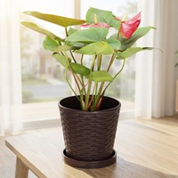 Pot de fleurs cylindrique en résine imitation rotin avec soucoupe, design minimaliste pour plantes succulentes, herbes et bonsaïs, idéal pour l'intérieur et le balcon.