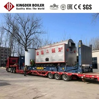 Chaudière à vapeur horizontale à biomasse DZH 6 tonnes à économie d'énergie, double combustible (bagasse et coque de noix de coco) pour usine de boissons