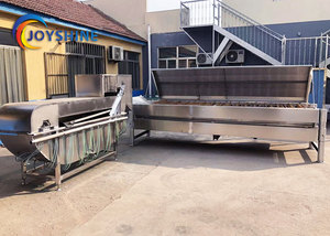 500 aves por hora de la máquina de pollo máquina de limpieza de aves de corral desplumado máquina - Product Image 5