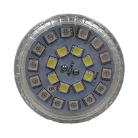 Bombilla LED E14 RGBW impermeable de 24V, IP65, E14, 60mm, luz de punto LED preprogramada para iluminación de cabujón RGBW de parque de atracciones