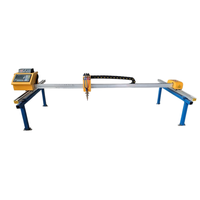 Machine de découpe de plaques métalliques CNC portable portique Plasma et flamme double usage pour acier et acier inoxydable taille 2500*6000