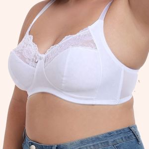 บราลูกไม้บางเฉียบ ไซส์ใหญ่แบบอังกฤษ สีดำ เซ็กซี่  แบบไม่มีโครงเสริมทรง - Product Image 3