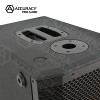Précision Pro Audio AC46 10 pouces professionnel PA colonne haut-parleur extérieur colonne haut-parleur avec amplificateur de classe D