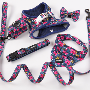 Pet ürünleri özel ad neopren yeşil <span class=keywords><strong>Pretty</strong></span> adım hiçbir tasma ile küçük köpek örgü koşum çekin - Product Image 6