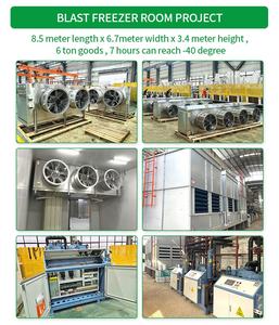 -45 מעלות יחידת קירור פיצוץ יחידת פיצוץ דגים - Product Image 2