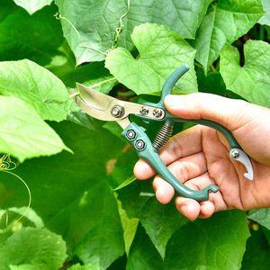 Tijeras de podar Green Bypass de 15.5 cm con hoja de acero inoxidable y mango de plástico, herramienta de jardín para recortar plantas - Product Image 2