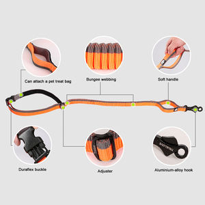 OEM Logo personalizzato retrattile cane corda di piombo con doppio manico Bungee mani libere di sicurezza durevole riflettente addestramento cane guinzaglio - Product Image 2