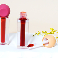 AKIACO Vente en Gros en Vrac Mini Pigment Bio Unique Mignon Maquillage Personnalisé Marque Privée Kit de Rouge à Lèvres Liquide Tubes de Brillant à Lèvres