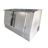 Congélateur vertical extérieur sur mesure en acier inoxydable, sans givre, 2 portes inclinées, refroidissement direct, capacité 120 sacs pour blocs de glace