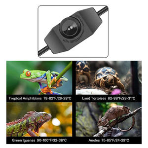 Alfombra Térmica Económica con Ajuste de Temperatura Digital Reptizoo de 47 Pulgadas para Terrario, Alfombra Calefactora Grande para Reptiles - Product Image 3