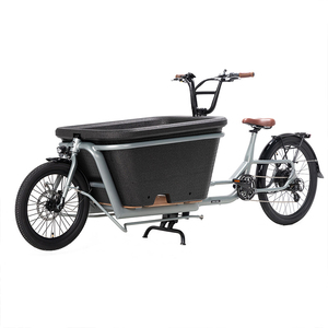 Buje trasero de bicicleta de carga eléctrica de fábrica 48V500W Motor 2 ruedas Carry Kids Goods Box <span class=keywords><strong>Cargo</strong></span> Ebike - Product Image 1