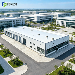 Estructura de Acero Industrial Resistente para Almacenes Comerciales, Edificio Prefabricado de Gran Altura para Almacenamiento Industrial - Product Image 1