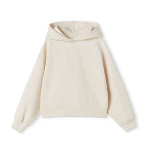 2024 automne hiver haute qualité couleur unie épaississement Plus pur coton surdimensionné <span class=keywords><strong>pull</strong></span> à capuche pour garçons bébés plaine techniques - Product Image 2