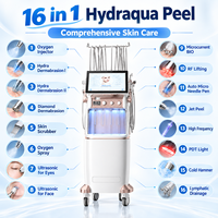 Appareil de soin du visage multifonctionnel Hydra Aqua Peel pour le nettoyage, l'hydratation et les soins de la peau