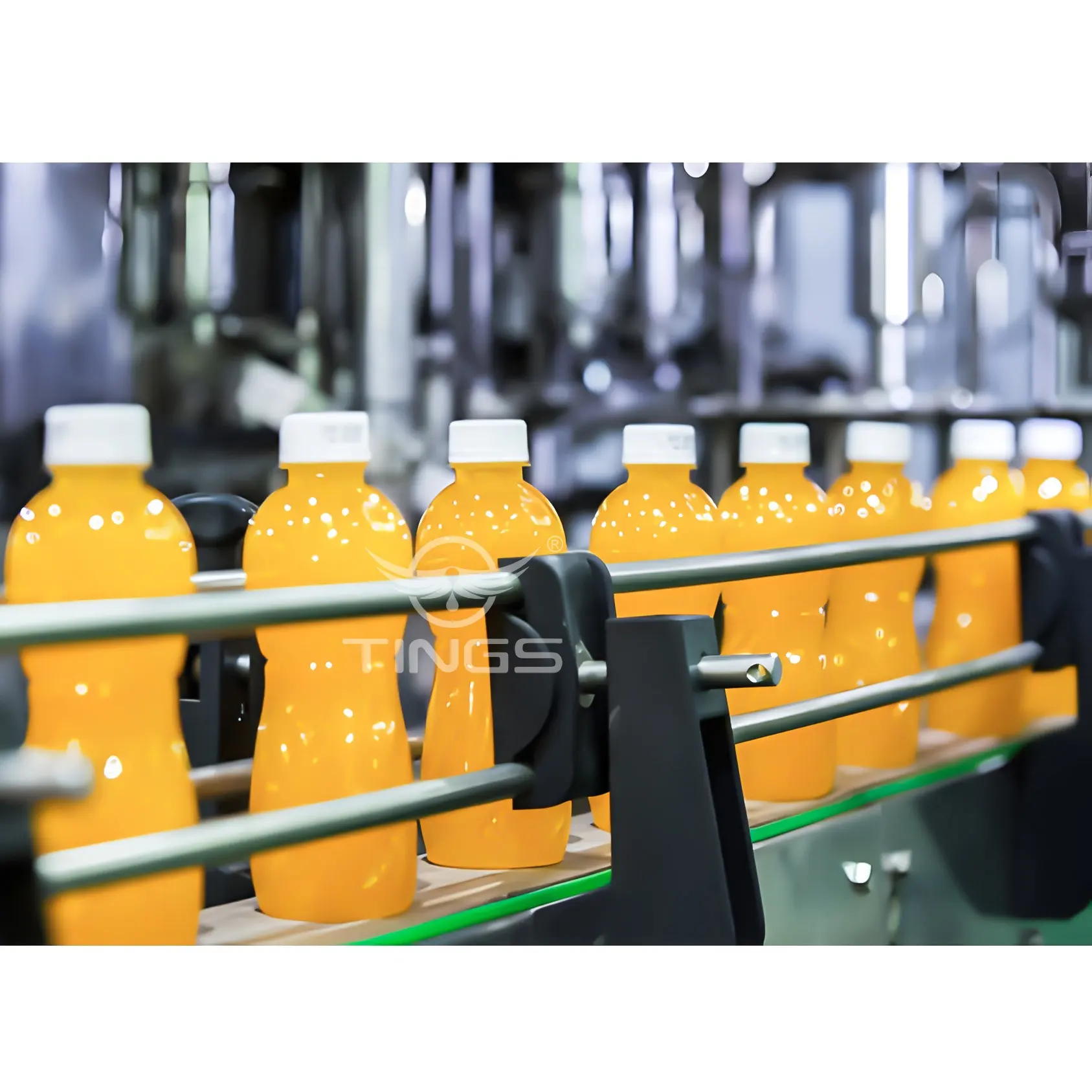 Ligne de production complète de machine de remplissage de presse-agrumes de fruits Nature à grande vitesse Machine de traitement et d'emballage