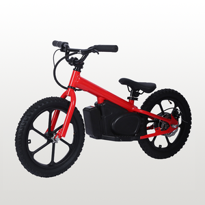Mini Trẻ Em 16 ''350 W Điện Cân Bằng Xe Đạp 24v5.2AH Trẻ Em Cân Bằng Xe Đạp Điện Với Đầy Đủ-Twist Throttle - Product Image 6