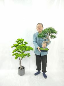 <span class=keywords><strong>Bonsai</strong></span> di Pino Artificiale Verde per Interni, Ecologico, 120x75 cm, in Plastica e Filo di Ferro, Basso MOQ, <span class=keywords><strong>Vendita</strong></span> all'Ingrosso - Product Image 4