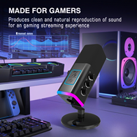 Micrófono Dinámico Cardioide WM13 para Juegos, Cancelación de Ruido, Silenciador/Ganancia, USB Tipo-C, Alta Fidelidad, Iluminación RGB, Transmisión en Vivo