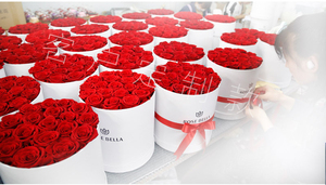 ของขวัญวัน<span class=keywords><strong>วาเลนไทน์</strong></span>ของตกแต่งวันคริสต์มาส,<span class=keywords><strong>ดอกไม้</strong></span>ที่เก็บรักษาไว้ได้นานขึ้นอมตะตลอดกาล - Product Image 6