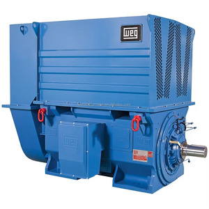 SEMC WEG ABB TECO Siemens Regal Rexnord Vem Marathon Leeson 3 Phase Induction Motor Electric Motor 100hp 150hp 200hp 250hp 3