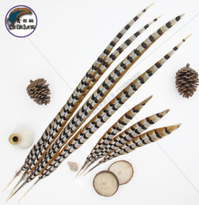 Plumes de queue de faisan collier naturelles longues en gros pour la pêche à la mouche, la fabrication de leurres, la décoration en vrac, les costumes de carnaval. - Product Image 1