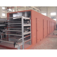 Goedkope Riemdroger Fruit Plantaardige Voedselverwerking Droogmachine